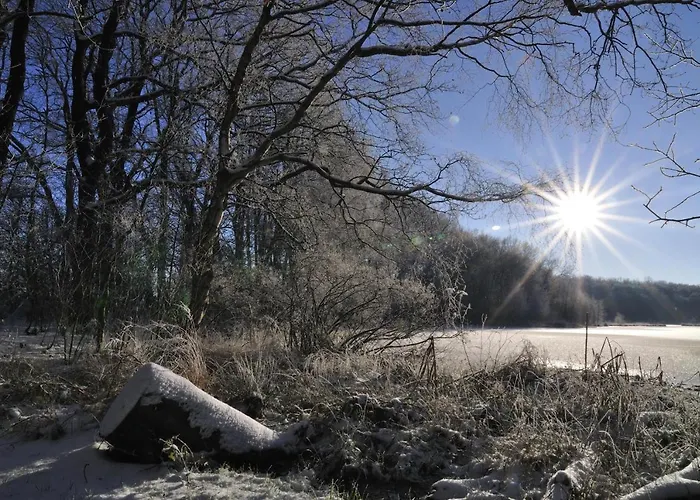 Appartement Jepsen *